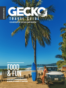 Gecko Car Rental Puerto Vallarta travel guide